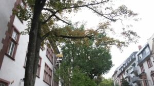 Schachturnieraufruf